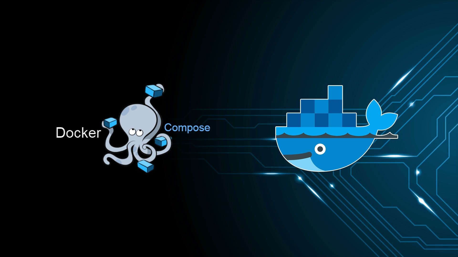 Moving from Vagrant to Docker & Docker Compose: Docker compose